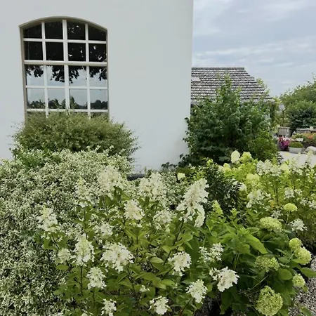 Annahoeve Venlo, 220 Qm Daire