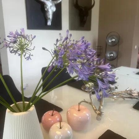 Apartmán Annahoeve Venlo, 220 Qm Venlo