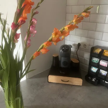 Annahoeve Venlo, 220 Qm Venlo