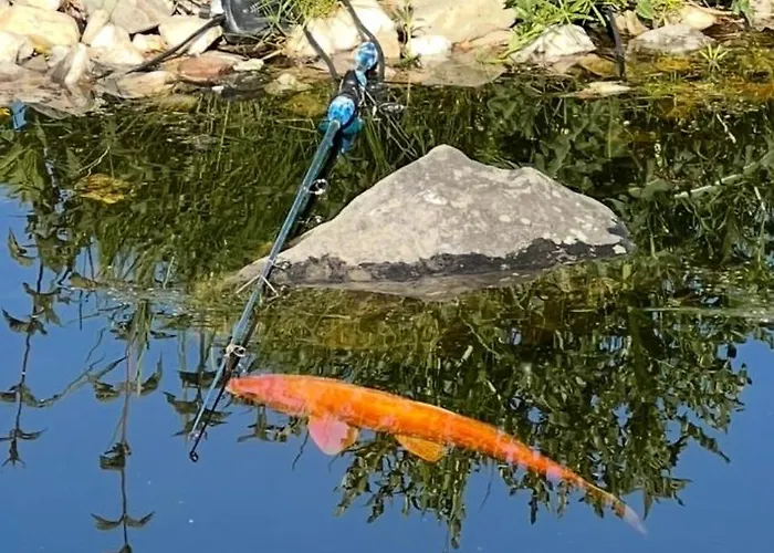 Annahoeve Venlo, 220 Qm Daire