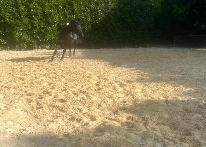 Annahoeve Venlo, 220 Qm Lejlighed *