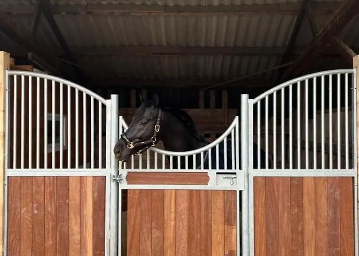 Lejlighed Annahoeve Venlo, 220 Qm *