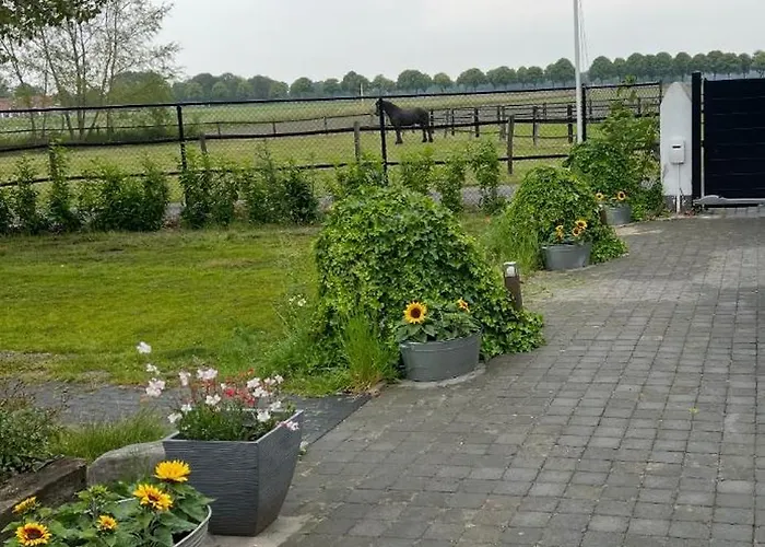 Annahoeve Venlo, 220 Qm Lejlighed