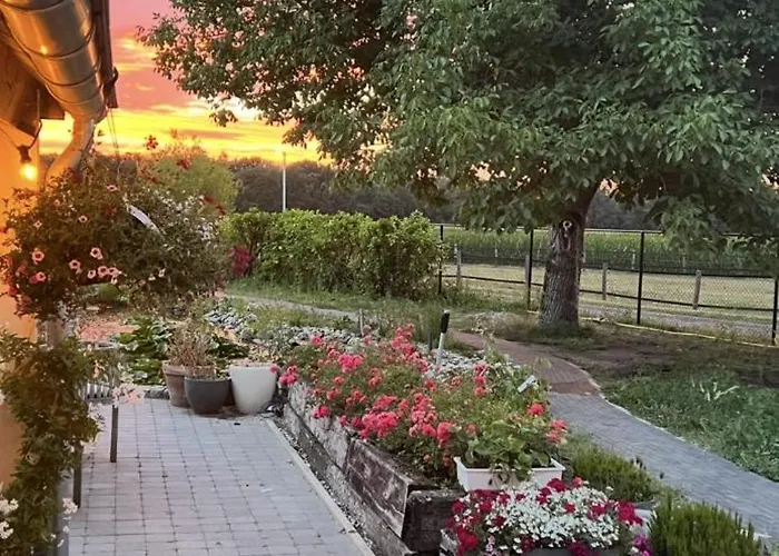 Daire Annahoeve Venlo, 220 Qm *