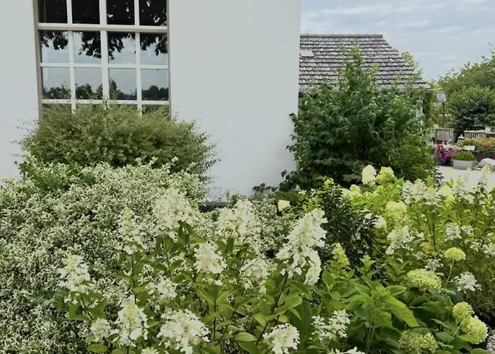 Annahoeve Venlo, 220 Qm Lejlighed