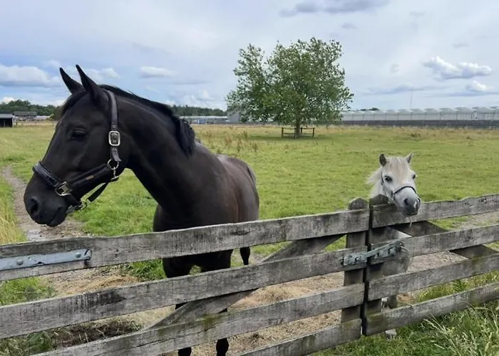 Annahoeve Venlo, 220 Qm Lejlighed Venlo