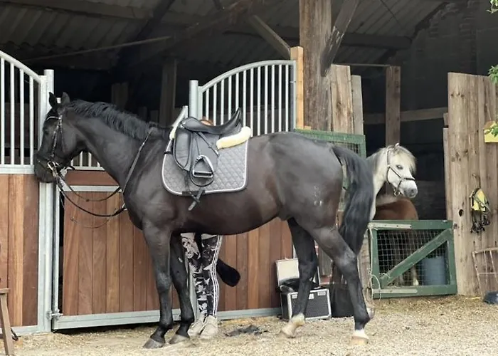 Annahoeve Venlo, 220 Qm *