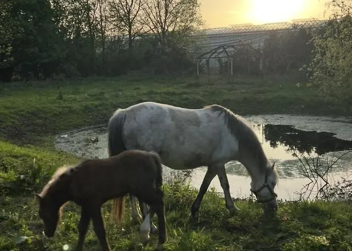 Annahoeve Venlo, 220 Qm