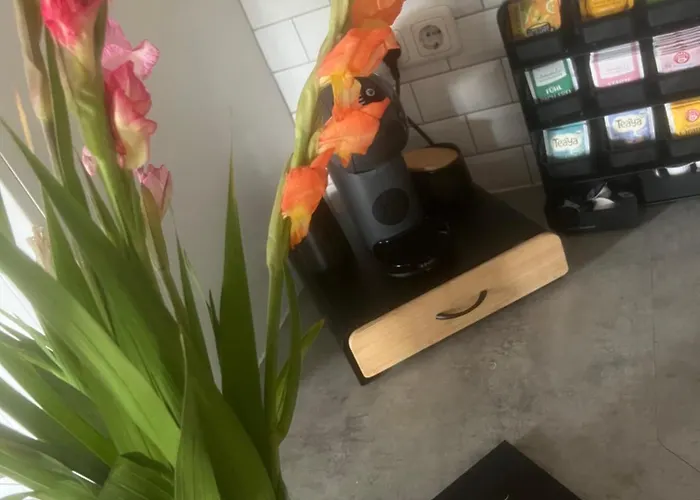 Annahoeve Venlo, 220 Qm Venlo