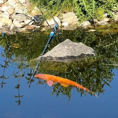 Annahoeve Venlo, 220 Qm Lägenhet