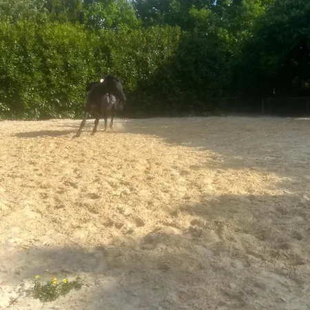 Annahoeve Venlo, 220 Qm Lägenhet *