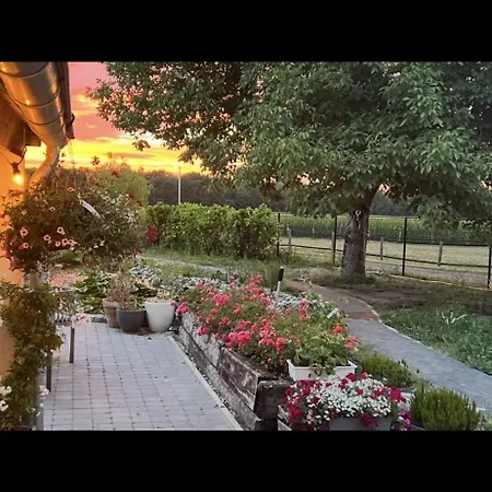 Lägenhet Annahoeve Venlo, 220 Qm *