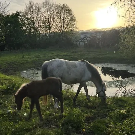 Annahoeve Venlo, 220 Qm